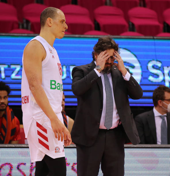 的主场观众 的主场观众